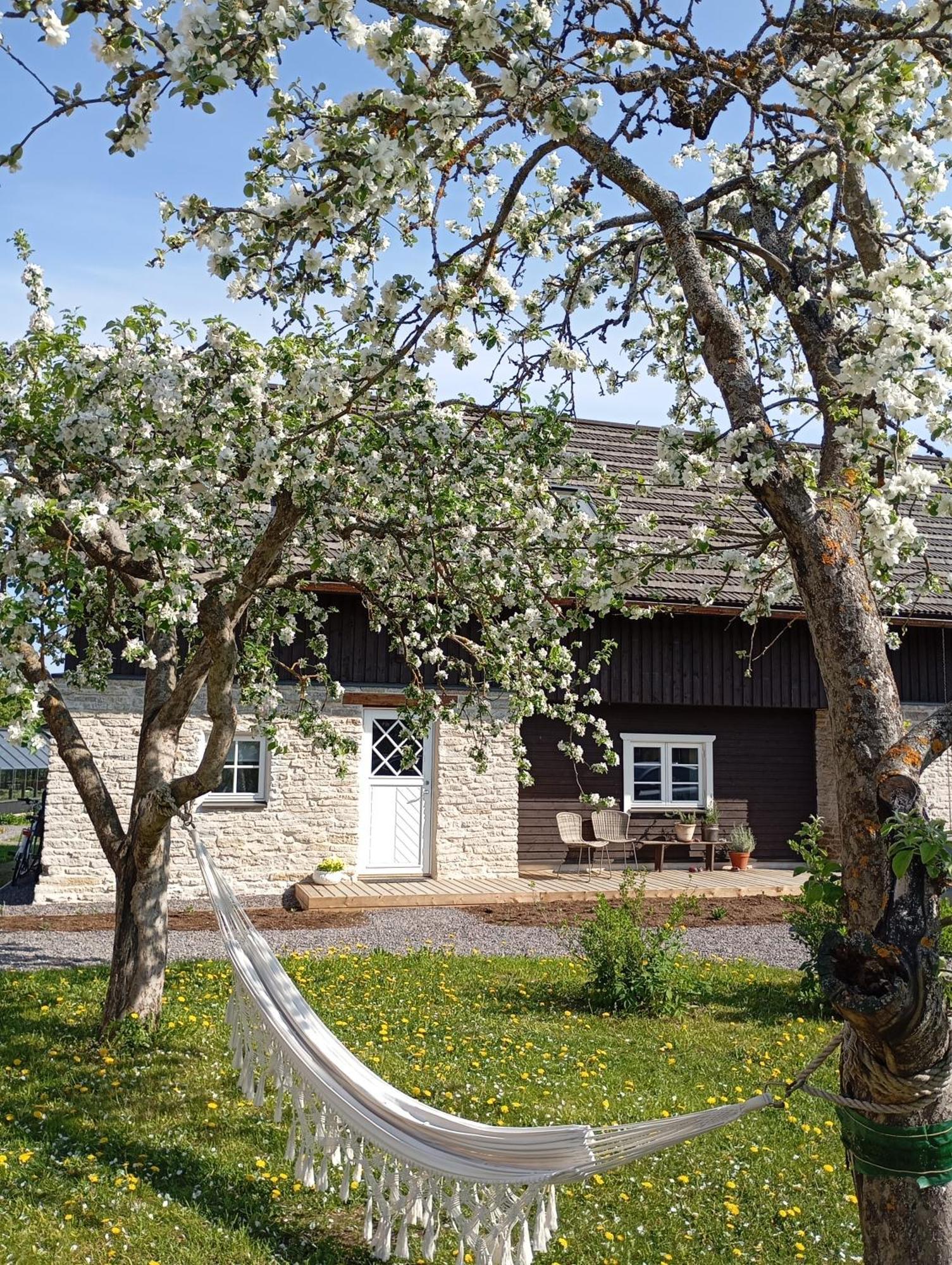 Loo Kodu&Koeoek Hotel Muraste Buitenkant foto